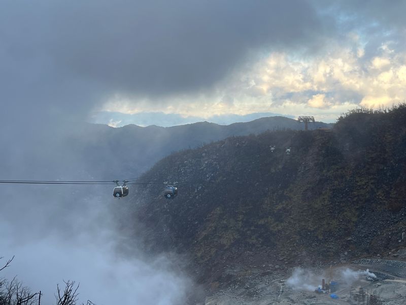 Hakone Private Tour - Owakudani Valley