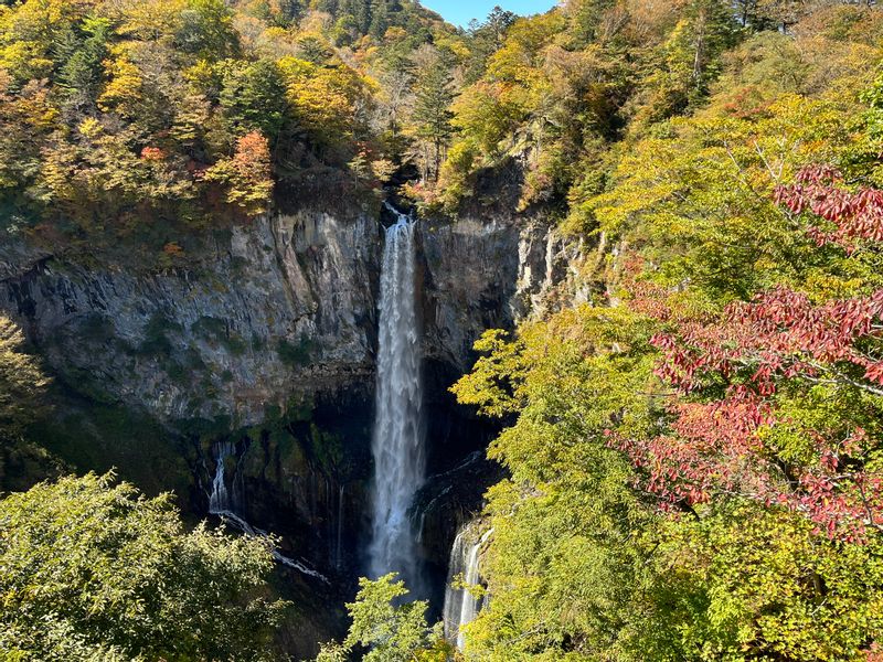 Nikko Private Tour - Kegon Falls