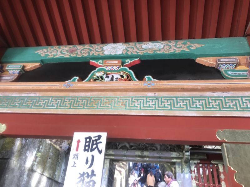 Nikko Private Tour - Toshogu Shrine : Carving of Sleeping Cat