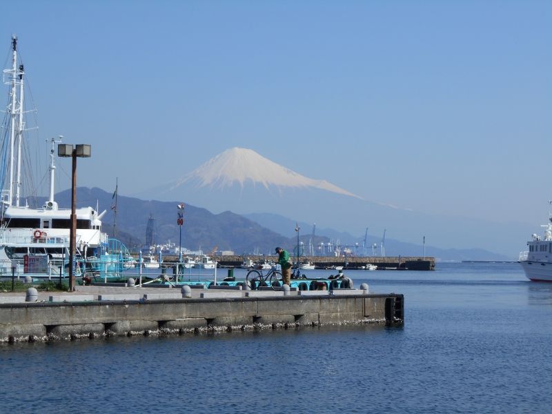 Shimizu Private Tour - Shimizu Port with Mt. Fuji in the back.