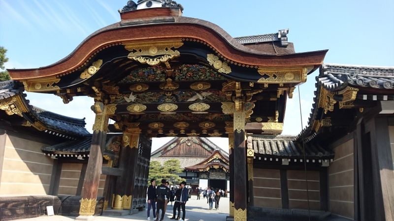 Kyoto Private Tour - Nijyo-jyo Castle