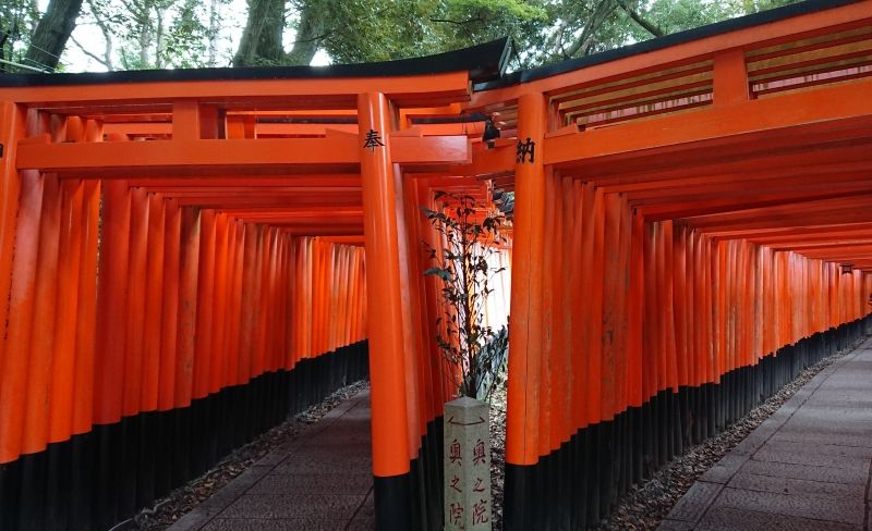 Kyoto Private Tour - Fushimi Inari Shrine