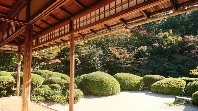 Kyoto Private Tour - Shisendo