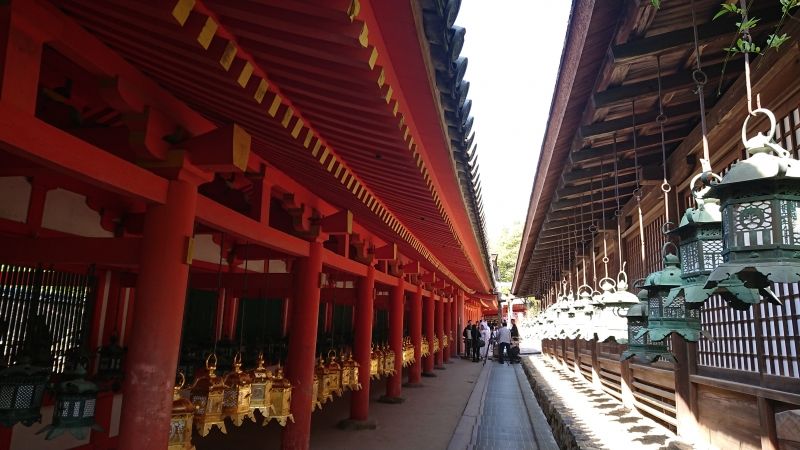 Kyoto Private Tour - Kasuga Taisha Shrine