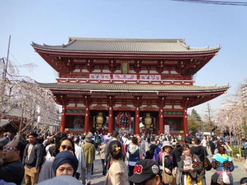 Tokyo Private Tour - Asakusa - Gate of Sensoji Temple