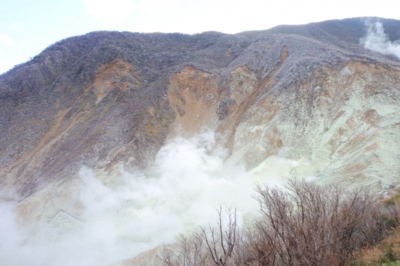 Hakone Private Tour - Owakudani valley