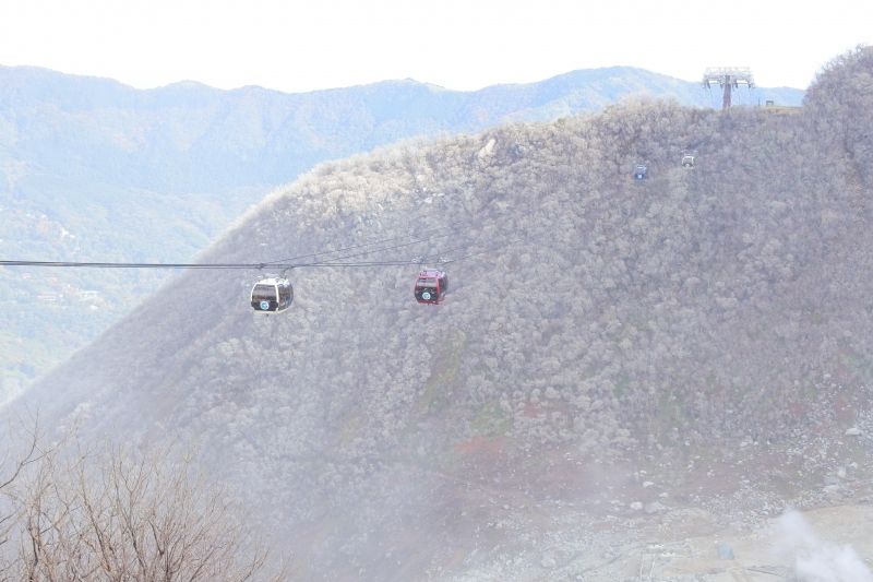 Hakone Private Tour - Hakone ropeway