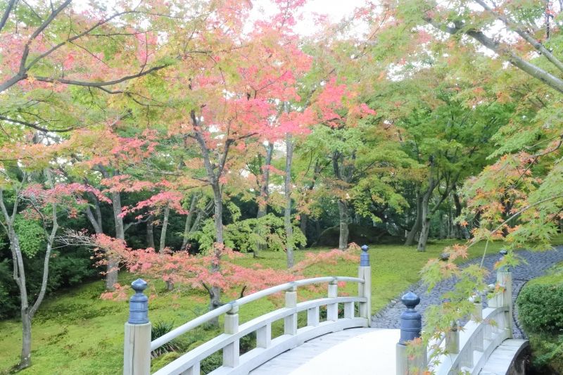 Hakone Private Tour - Hakone museum