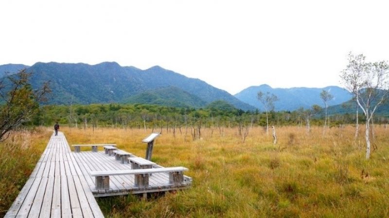 Nikko Private Tour - Senjogahara plain located on altitude around 1400m upper Ryuzu fall