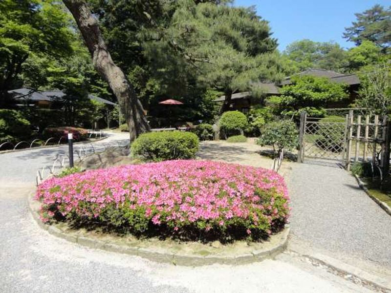 Kanazawa Private Tour - Azalea and Shiguretei in Kenrokuen