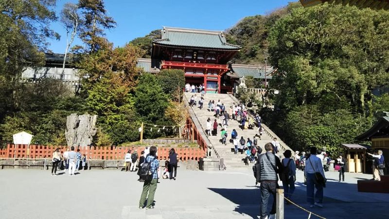 Kamakura Private Tour - One of the most popular shrines for a new year's visit. More than 2 million people visit there in the first 3 days of each year.