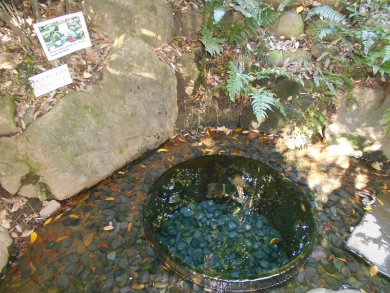 Tokyo Private Tour - spring water coming out of the well on the shrine compound