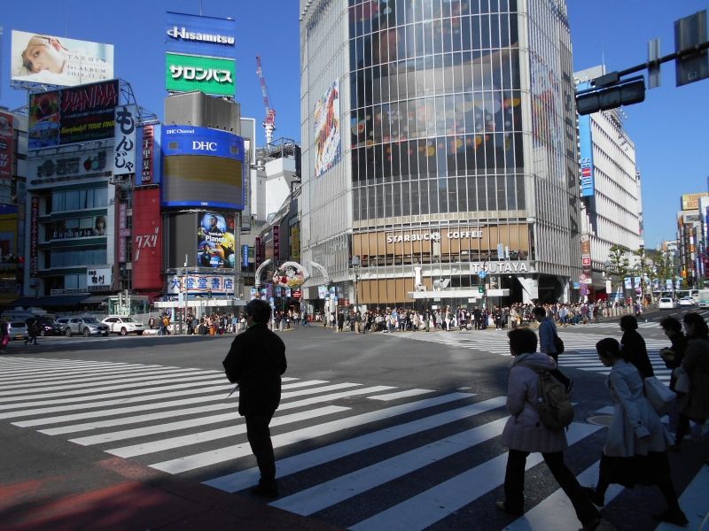 Tokyo Private Tour - zebra-crossing