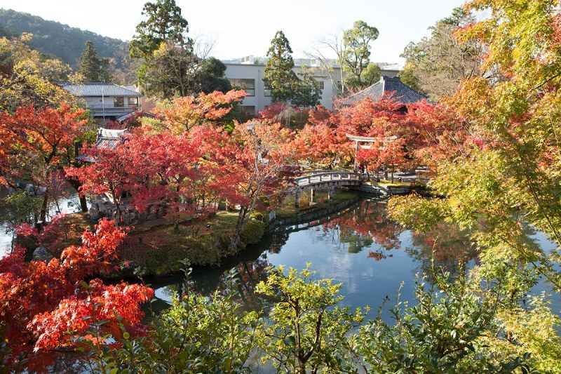 Kyoto Private Tour - At Eikan-do Temple