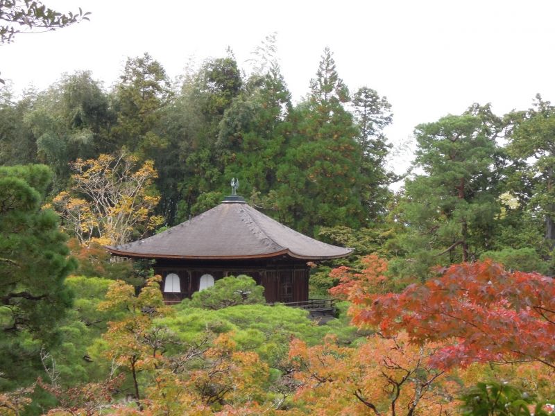 Kyoto Private Tour - Ginkaku ( Silver Pavilion )