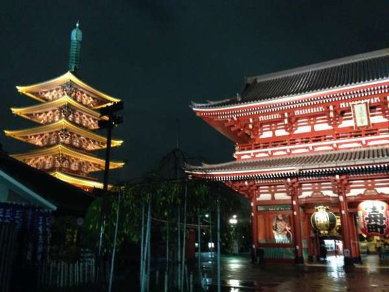 Tokyo Private Tour - Illunminated Sensoji temple