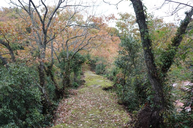 Shimane Private Tour - Old trail on the mountain in the town