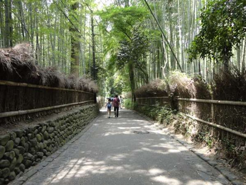 Kyoto Private Tour - Bamboo Forest
