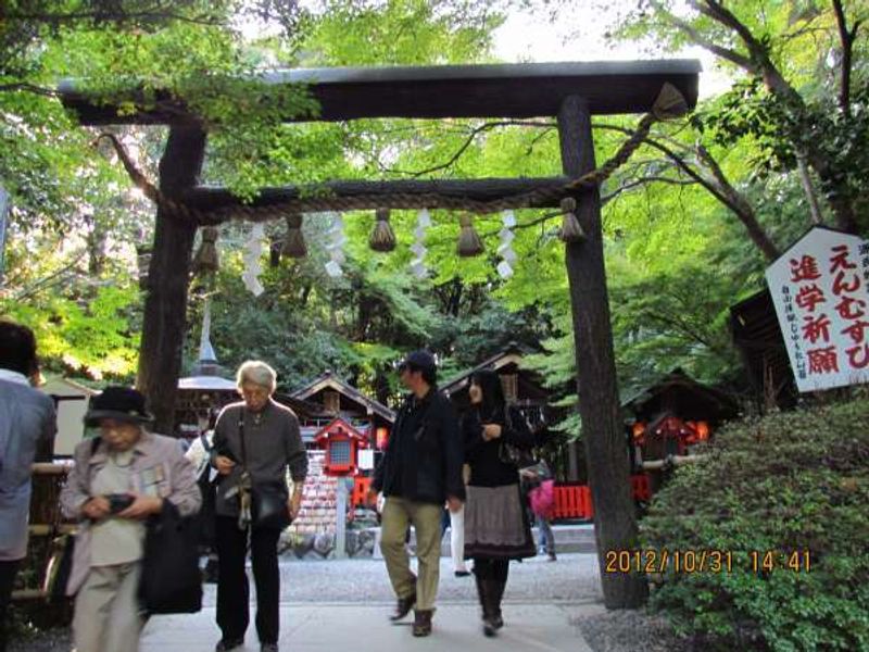 Kyoto Private Tour - Nonomiya Shrine black Torii Gate