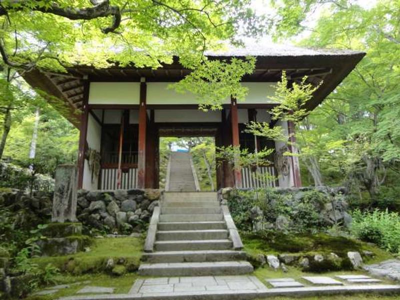 Kyoto Private Tour - Jojakko-ji Temple