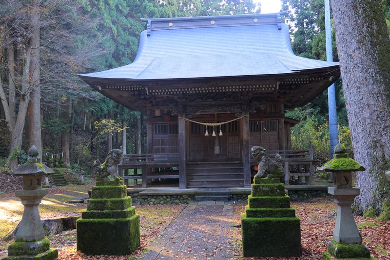 Niigata Private Tour - The water needed to make good sake comes from the near-by old shrine ground in the forest.