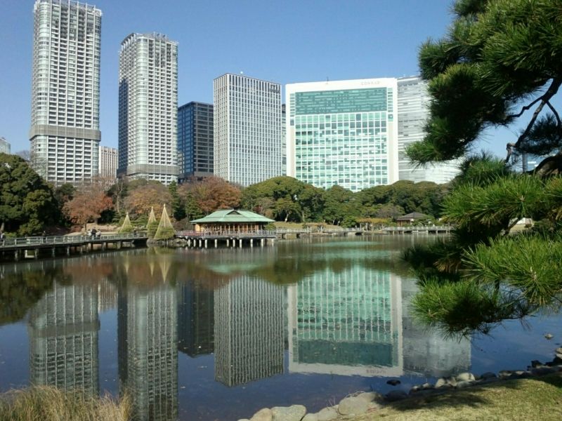 Tokyo Private Tour - Shioiri-no-ike Pond, Hama-rikyu Gardens