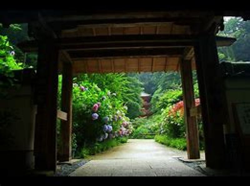 Nara Private Tour - Gansen temple