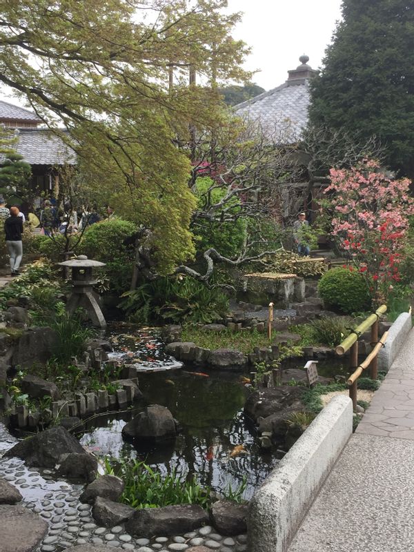 Kamakura Private Tour - Garden in Hase-dera Temple