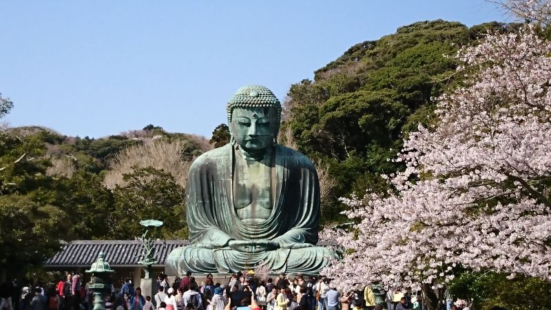 Kamakura Private Tour - Big Buddah