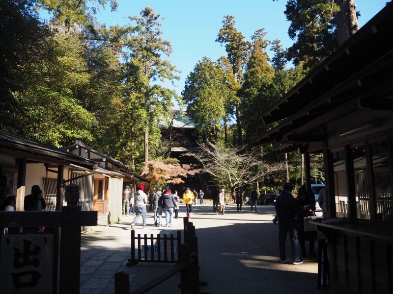 Kamakura Private Tour - null