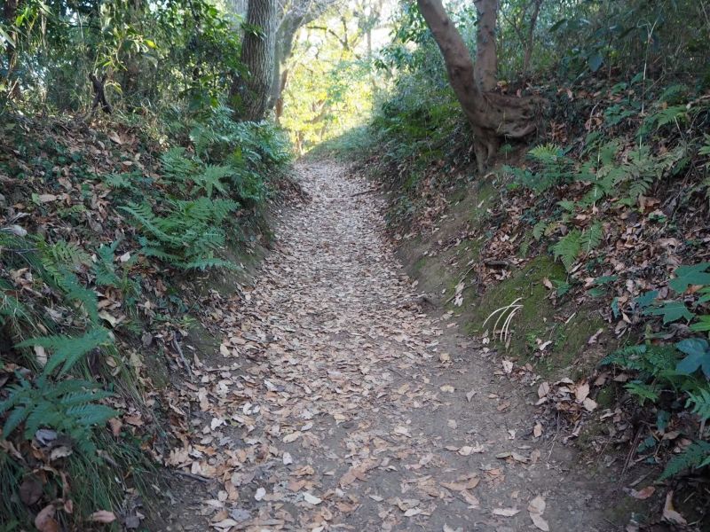 Kamakura Private Tour - null