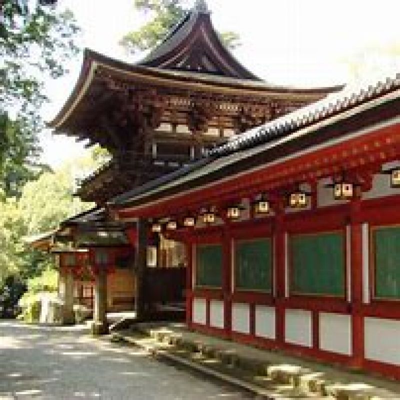 Nara Private Tour - Isonokami shrine