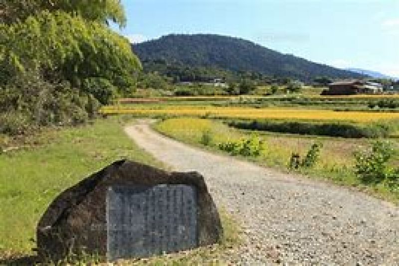 Nara Private Tour - Yamanobe no michi trail