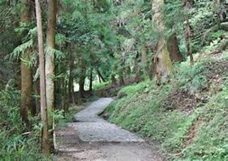 Nara Private Tour - Yamanobe no michi trail