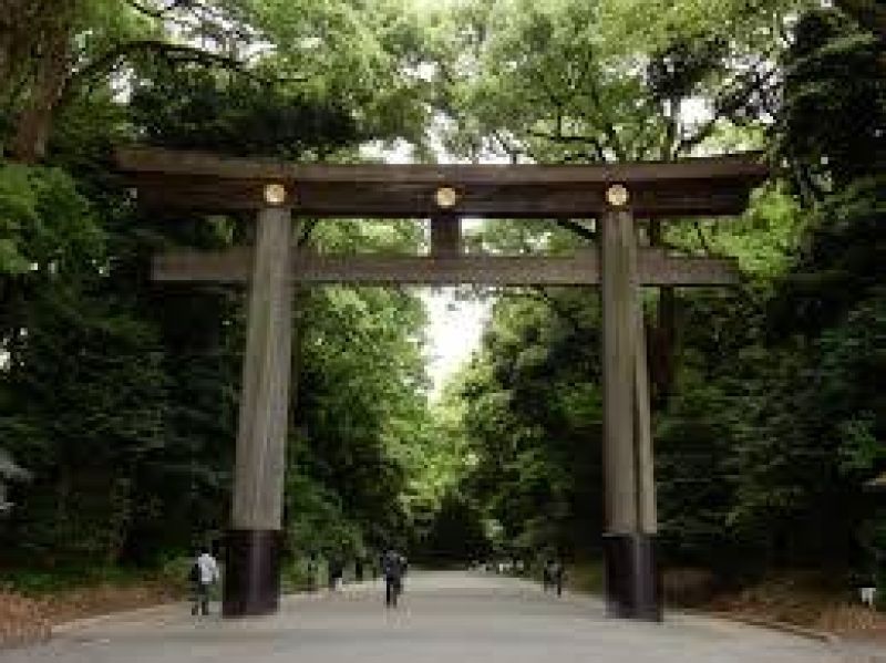 Tokyo Private Tour - The gate of Meiji-Shrine