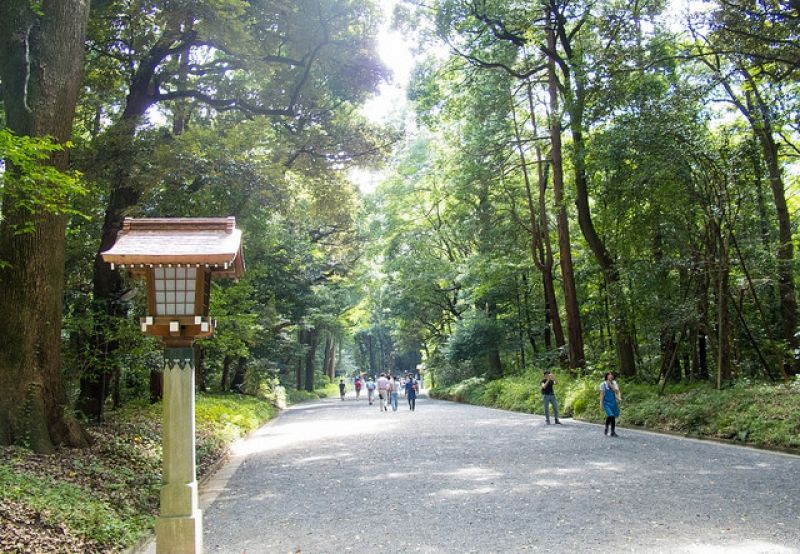 Tokyo Private Tour - Walking path bound to Shrine