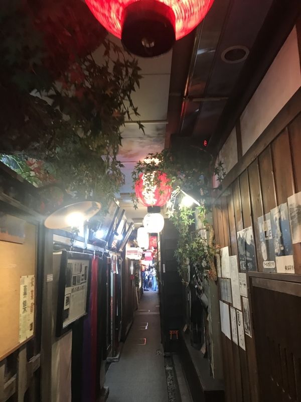 Osaka Private Tour - Callejón bonito por Hozenji, templo pegado con el barrio Dotombori.