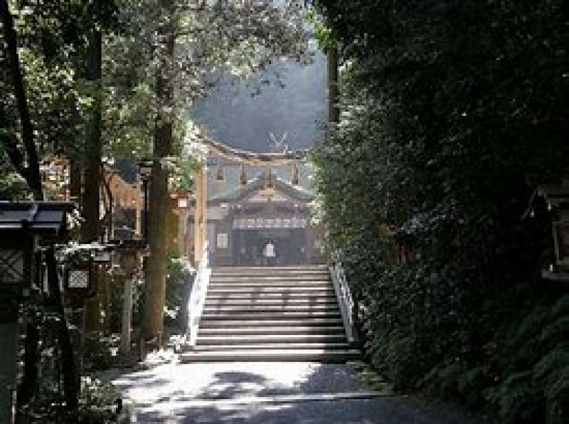 Nara Private Tour - Oomiwa shrine