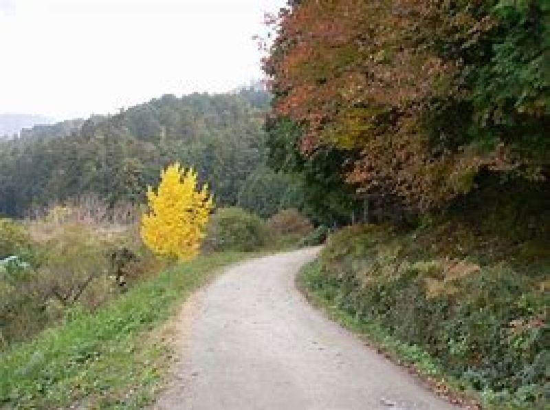 Nara Private Tour - Landscape of Yamanobe no michi