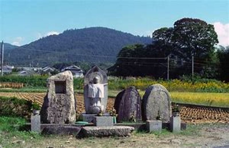 Nara Private Tour - Landscape of Yamanobe no michi 