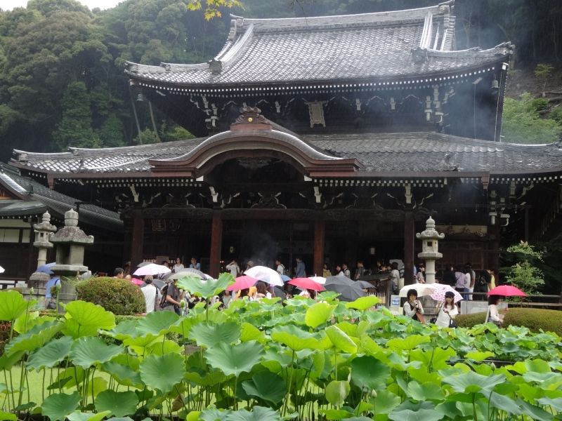 Kyoto Private Tour - Mimuroto Temple