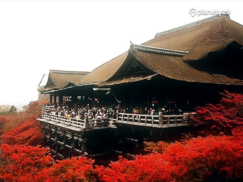 Kyoto Private Tour - Kiyomizu Temple 