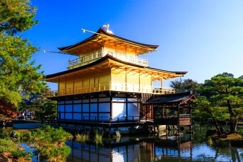 Kyoto Private Tour - Kinkakuji Temple 