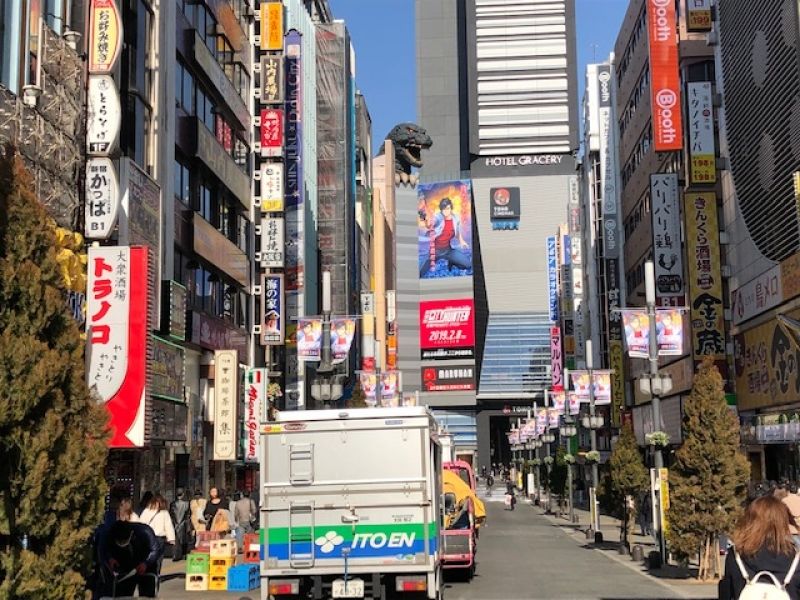 Tokyo Private Tour - Shinjuku Kabukicho & Godzilla