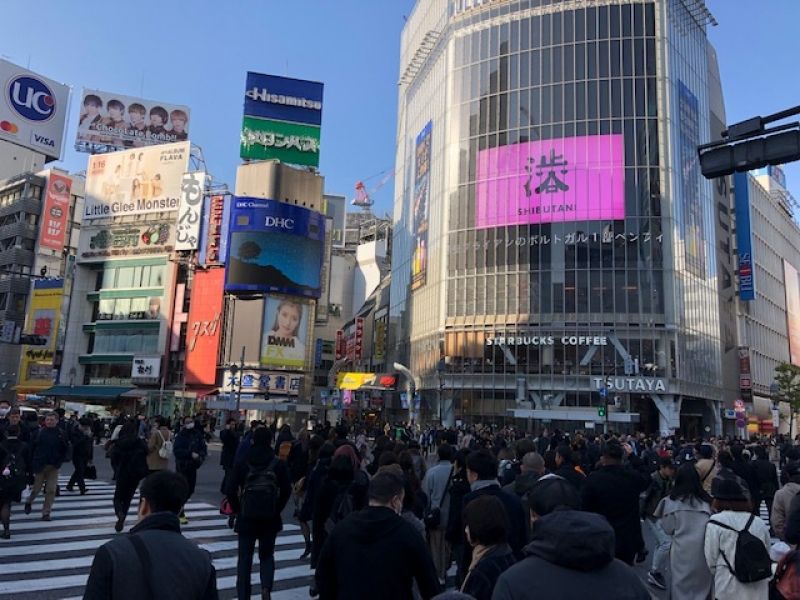 Tokyo Private Tour - Scramble Crossing in Shibuya