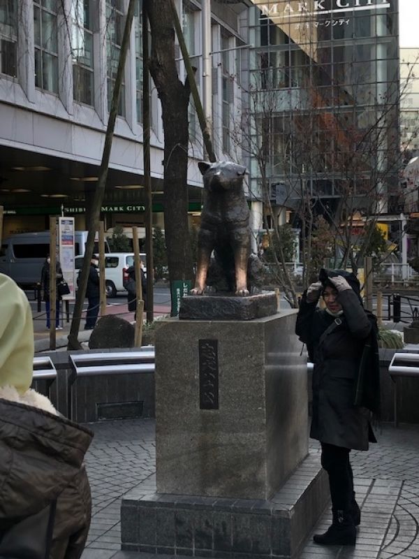 Tokyo Private Tour - Hachi Dog Statue 