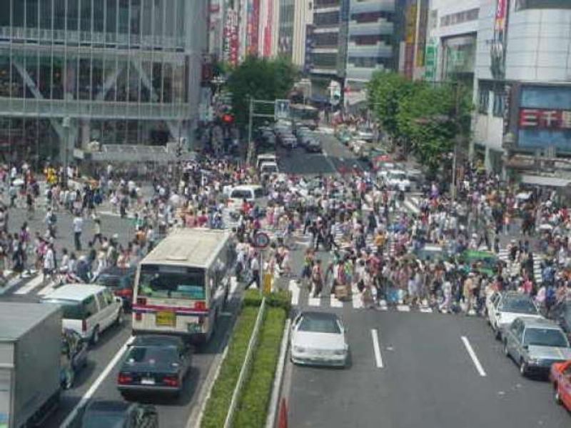 Tokyo Private Tour - Shibuya , cruces 