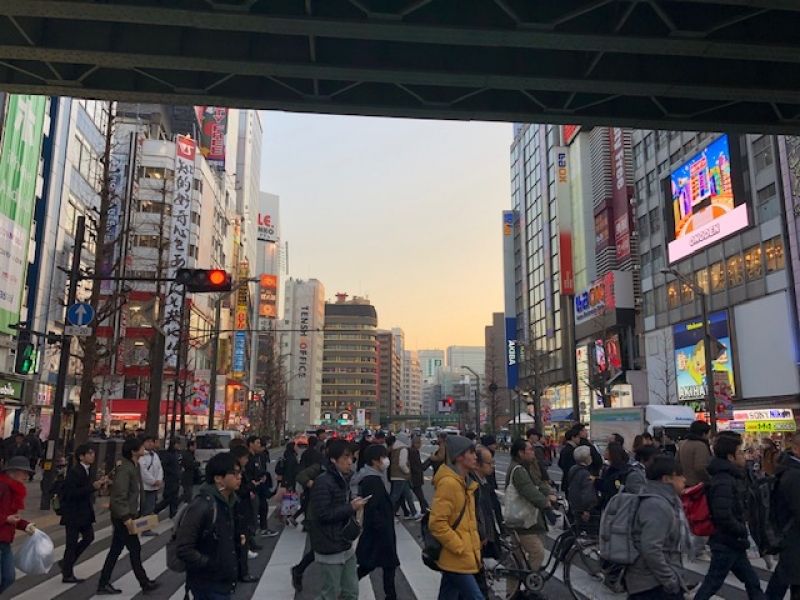 Tokyo Private Tour - Akihabara Anime & Electric Centre