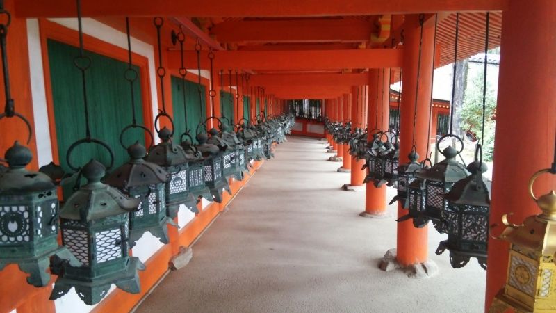 Nara Private Tour - Kasuga Taisha Shrine : A thousand hanging bronze lanterns