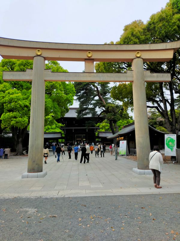 Tokyo Private Tour - Meiji Jingu Shrine